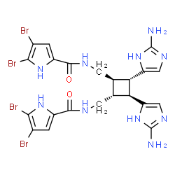 ChemSpider 2D Image | dibromosceptrin acetate | C22H22Br4N10O2