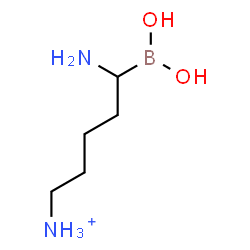 ChemSpider 2D Image | 5-Amino-5-(dihydroxyboryl)-1-pentanaminium | C5H16BN2O2