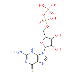 ChemSpider 2D Image | 2-Amino-9-{5-O-[hydroxy(phosphonooxy)phosphoryl]pentofuranosyl}-3,9-dihydro-6H-purine-6-thione | C10H15N5O10P2S