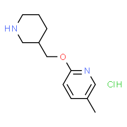 ChemSpider 2D Image | 5-Methyl-2-(piperidin-3-ylmethoxy)pyridine hydrochloride | C12H19ClN2O