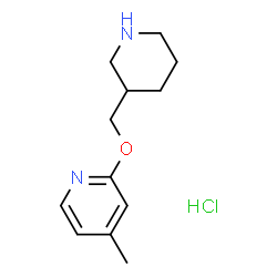 ChemSpider 2D Image | 4-Methyl-2-(piperidin-3-ylmethoxy)pyridine hydrochloride | C12H19ClN2O