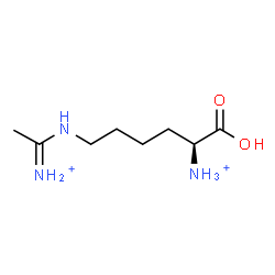 ChemSpider 2D Image | N(6)-acetimidoyl-L-lysinium(2+) | C8H19N3O2
