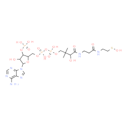 ChemSpider 2D Image | [5-(6-Amino-9H-purin-9-yl)-4-hydroxy-3-(phosphonooxy)tetrahydro-2-furanyl]methyl 3-hydroxy-4-[(3-{[2-(hydroxysulfanyl)ethyl]amino}-3-oxopropyl)amino]-2,2-dimethyl-4-oxobutyl dihydrogen diphosphate (no
n-preferred name) | C21H36N7O17P3S