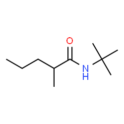 ChemSpider 2D Image | 2-Methyl-N-(2-methyl-2-propanyl)pentanamide | C10H21NO