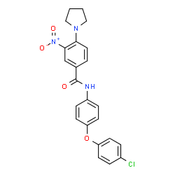 ChemSpider 2D Image | N-[4-(4-Chlorophenoxy)phenyl]-3-nitro-4-(1-pyrrolidinyl)benzamide | C23H20ClN3O4