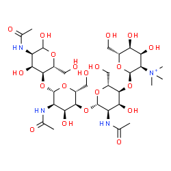 ChemSpider 2D Image | 2-Deoxy-2-(trimethylammonio)-alpha-D-allopyranosyl-(1->4)-2-acetamido-2-deoxy-beta-D-allopyranosyl-(1->4)-2-acetamido-2-deoxy-beta-D-allopyranosyl-(1->4)-2-acetamido-2-deoxy-D-allopyranose | C33H59N4O20