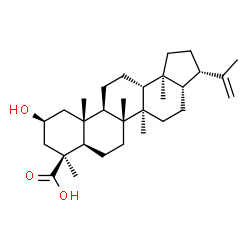 ChemSpider 2D Image | (2beta)-2-Hydroxyhop-22(29)-en-24-oic acid | C30H48O3