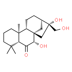 ChemSpider 2D Image | (5beta,7alpha,8alpha,9beta,10alpha,16beta)-7,16,17-Trihydroxykauran-6-one | C20H32O4