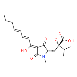 ChemSpider 2D Image | (2S)-2-Hydroxy-2-({(2S,4Z)-4-[(2E,4E)-1-hydroxy-2,4-octadien-1-ylidene]-1-methyl-3,5-dioxo-2-pyrrolidinyl}methyl)-3-methylbutanoic acid | C19H27NO6