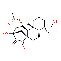 ChemSpider 2D Image | (5beta,8alpha,9beta,10alpha,11beta,13alpha)-13,18-Dihydroxy-15-oxokaur-16-en-11-yl acetate | C22H32O5