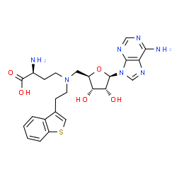 ChemSpider 2D Image | 5'-{[(3S)-3-Amino-3-carboxypropyl][2-(1-benzothiophen-3-yl)ethyl]amino}-5'-deoxyadenosine | C24H29N7O5S