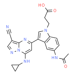 ChemSpider 2D Image | 3-{5-Acetamido-3-[3-cyano-7-(cyclopropylamino)pyrazolo[1,5-a]pyrimidin-5-yl]-1H-indol-1-yl}propanoic acid | C23H21N7O3