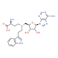 ChemSpider 2D Image | 5'-{[(3S)-3-Amino-3-carboxypropyl][2-(1H-indol-3-yl)ethyl]amino}-5'-deoxyadenosine | C24H30N8O5