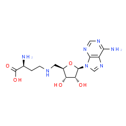 ChemSpider 2D Image | 5'-{[(3S)-3-Amino-3-carboxypropyl]amino}-5'-deoxyadenosine | C14H21N7O5