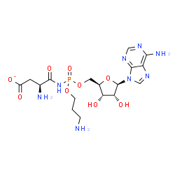 ChemSpider 2D Image | (3S)-3-amino-4-[[3-aminopropoxy-[[(2R,3S,4R,5R)-5-(6-aminopurin-9-yl)-3,4-dihydroxy-tetrahydrofuran-2-yl]methoxy]phosphoryl]amino]-4-oxo-butanoate | C17H26N8O9P