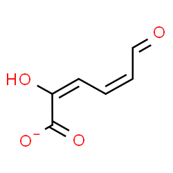 ChemSpider 2D Image | (2E,4Z)-2-Hydroxy-6-oxo-2,4-hexadienoate | C6H5O4