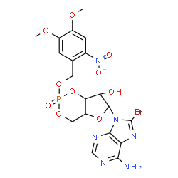 ChemSpider 2D Image | 6-(6-Amino-8-bromo-9H-purin-9-yl)-2-[(4,5-dimethoxy-2-nitrobenzyl)oxy]tetrahydro-4H-furo[3,2-d][1,3,2]dioxaphosphinin-7-ol 2-oxide | C19H20BrN6O10P