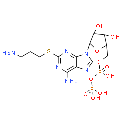 ChemSpider 2D Image | [5-[6-amino-2-(3-aminopropylsulfanyl)purin-9-yl]-3,4-dihydroxy-tetrahydrofuran-2-yl]methyl phosphono hydrogen phosphate | C13H22N6O10P2S