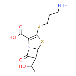 ChemSpider 2D Image | 3-[(3-Aminopropyl)sulfanyl]-6-(1-hydroxyethyl)-7-oxo-4-thia-1-azabicyclo[3.2.0]hept-2-ene-2-carboxylic acid | C11H16N2O4S2