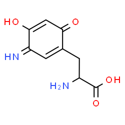 ChemSpider 2D Image | 3-(4-Hydroxy-3-imino-6-oxo-1,4-cyclohexadien-1-yl)alanine | C9H10N2O4