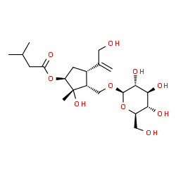 ChemSpider 2D Image | (1S,2S,3R,4S)-3-[(beta-D-Glucopyranosyloxy)methyl]-2-hydroxy-4-(3-hydroxy-1-propen-2-yl)-2-methylcyclopentyl 3-methylbutanoate | C21H36O10