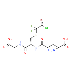 ChemSpider 2D Image | gamma-Glutamyl-S-(2-bromo-2-chloro-1,1-difluoroethyl)cysteinylglycine | C12H17BrClF2N3O6S