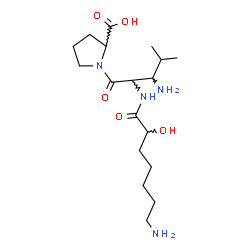 ChemSpider 2D Image | 3-Amino-N-(7-amino-2-hydroxyheptanoyl)leucylproline | C18H34N4O5