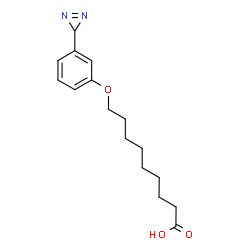 ChemSpider 2D Image | 9-[3-(3H-Diaziren-3-yl)phenoxy]nonanoic acid | C16H22N2O3