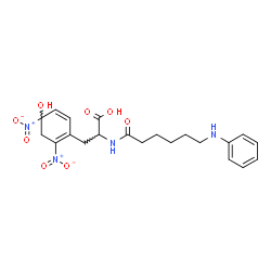 ChemSpider 2D Image | N-(6-Anilinohexanoyl)-3-(4-hydroxy-2,4-dinitro-1,5-cyclohexadien-1-yl)alanine | C21H26N4O8