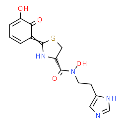ChemSpider 2D Image | N-Hydroxy-2-(5-hydroxy-6-oxo-2,4-cyclohexadien-1-ylidene)-N-[2-(1H-imidazol-5-yl)ethyl]-1,3-thiazolidine-4-carboxamide | C15H16N4O4S