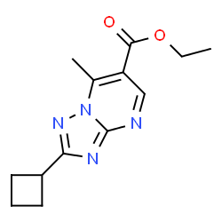 ChemSpider 2D Image | ethyl 2-cyclobutyl-7-methyl-[1,2,4]triazolo[1,5-a]pyrimidine-6-carboxylate | C13H16N4O2