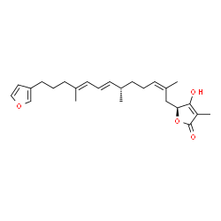 ChemSpider 2D Image | (5S)-5-[(2Z,6S,7E,9E)-13-(3-Furyl)-2,6,10-trimethyl-2,7,9-tridecatrien-1-yl]-4-hydroxy-3-methyl-2(5H)-furanone | C25H34O4