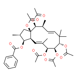 ChemSpider 2D Image | (1S,2R,3aR,4S,5S,6E,9S,10S,11S,12E,13aS)-3a,4,9,10,11-Pentaacetoxy-2,5,8,8,12-pentamethyl-2,3,3a,4,5,8,9,10,11,13a-decahydro-1H-cyclopenta[12]annulen-1-yl benzoate | C37H48O12
