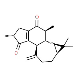 ChemSpider 2D Image | (2R,3bS,6aS,7aR,7bR,8S)-2,7,7,8-Tetramethyl-4-methylene-4,5,6,6a,7,7a,7b,8-octahydro-1H-cyclopropa[3,4]cyclohepta[1,2-e]indene-3,9(2H,3bH)-dione | C20H26O2