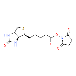 ChemSpider 2D Image | 1-({5-[(3aS,4S,6aS)-2-Oxohexahydro-1H-thieno[3,4-d]imidazol-4-yl]pentanoyl}oxy)-2,5-pyrrolidinedione | C14H19N3O5S