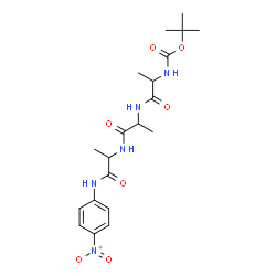 ChemSpider 2D Image | N-{[(2-Methyl-2-propanyl)oxy]carbonyl}alanylalanyl-N-(4-nitrophenyl)alaninamide | C20H29N5O7