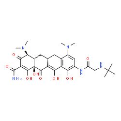 ChemSpider 2D Image | (4S,4aS,5aR,12aR)-4,7-Bis(dimethylamino)-1,10,11,12a-tetrahydroxy-9-{[N-(2-methyl-2-propanyl)glycyl]amino}-3,12-dioxo-3,4,4a,5,5a,6,12,12a-octahydro-2-tetracenecarboxamide | C29H39N5O8