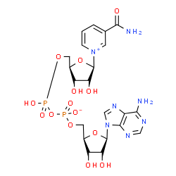 ChemSpider 2D Image | [(2R,5R)-5-(6-aminopurin-9-yl)-3,4-dihydroxy-tetrahydrofuran-2-yl]methyl [[(2R,5R)-5-(3-carbamoylpyridin-1-ium-1-yl)-3,4-dihydroxy-tetrahydrofuran-2-yl]methoxy-hydroxy-phosphoryl] phosphate | C21H27N7O14P2