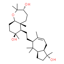 ChemSpider 2D Image | sipholenol A | C30H52O4