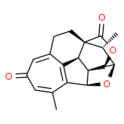 ChemSpider 2D Image | (1S,11S,12R,13R,16R,19S)-8,19-Dimethyl-14,17-dioxahexacyclo[13.3.1.0~1,11~.0~4,10~.0~9,13~.0~12,16~]nonadeca-4,7,9-triene-6,18-dione | C19H18O4