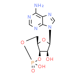 ChemSpider 2D Image | (4aR,6R,7S,7aR)-6-(6-Amino-9H-purin-9-yl)tetrahydro-4H-furo[3,2-d][1,3,2]dioxaphosphinine-2,7-diol 2-oxide | C10H12N5O6P
