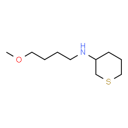 ChemSpider 2D Image | N-(4-Methoxybutyl)tetrahydro-2H-thiopyran-3-amine | C10H21NOS
