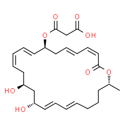 ChemSpider 2D Image | 3-{[(3Z,5E,8S,9E,11Z,14S,16R,17E,19E,24R)-14,16-Dihydroxy-24-methyl-2-oxooxacyclotetracosa-3,5,9,11,17,19-hexaen-8-yl]oxy}-3-oxopropanoic acid | C27H36O8