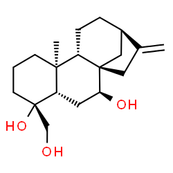 ChemSpider 2D Image | (1R,2S,4S,5R,9S,10S,13R)-5-(Hydroxymethyl)-9-methyl-14-methylenetetracyclo[11.2.1.0~1,10~.0~4,9~]hexadecane-2,5-diol | C19H30O3