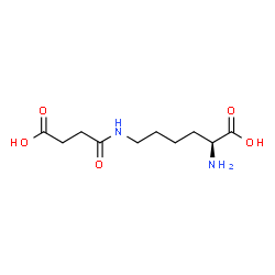 ChemSpider 2D Image | N6-SUCCINYLLYSINE | C10H18N2O5