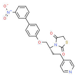 ChemSpider 2D Image | 3-[(2R)-1-[(3'-Nitro-4-biphenylyl)oxy]-4-(4-pyridinyl)-2-butanyl]-1,3-thiazolidine-2,4-dione | C24H21N3O5S