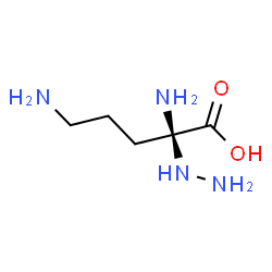 ChemSpider 2D Image | (2R)-2,5-Diamino-2-hydrazinopentanoic acid | C5H14N4O2