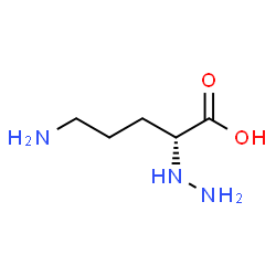 ChemSpider 2D Image | (2R)-5-Amino-2-hydrazinopentanoic acid | C5H13N3O2