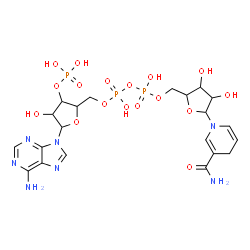 ChemSpider 2D Image | [5-(6-aminopurin-9-yl)-4-hydroxy-3-phosphonooxy-tetrahydrofuran-2-yl]methyl [[5-(3-carbamoyl-4H-pyridin-1-yl)-3,4-dihydroxy-tetrahydrofuran-2-yl]methoxy-hydroxy-phosphoryl] hydrogen phosphate | C21H30N7O17P3