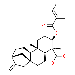 ChemSpider 2D Image | (3alpha,5beta,8alpha,9beta,10alpha,13alpha)-3-{[(2E)-2-Methyl-2-butenoyl]oxy}kaur-16-en-18-oic acid | C25H36O4